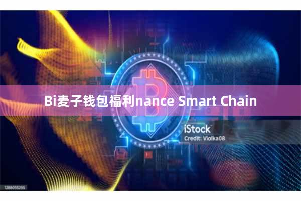 Bi麦子钱包福利nance Smart Chain