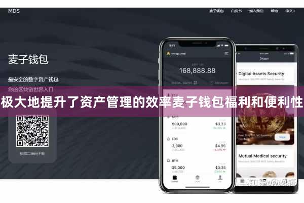 极大地提升了资产管理的效率麦子钱包福利和便利性