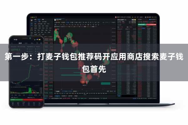 第一步：打麦子钱包推荐码开应用商店搜索麦子钱包首先