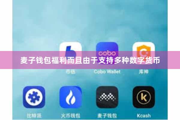 麦子钱包福利而且由于支持多种数字货币