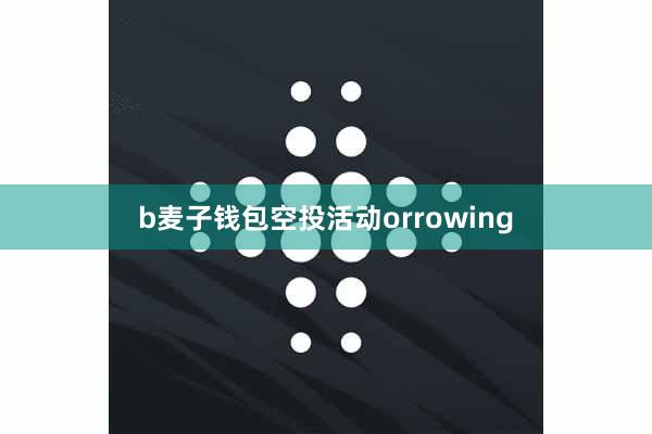 b麦子钱包空投活动orrowing