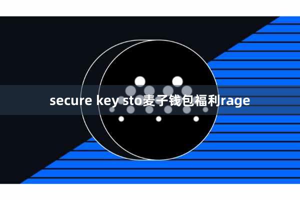 secure key sto麦子钱包福利rage