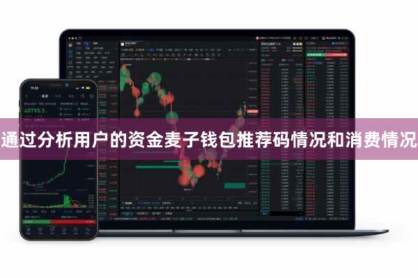 通过分析用户的资金麦子钱包推荐码情况和消费情况