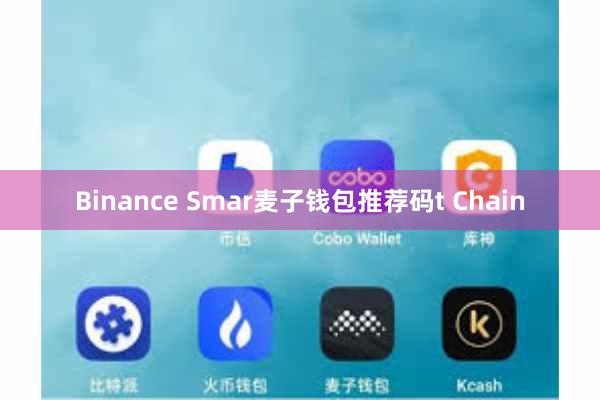 Binance Smar麦子钱包推荐码t Chain